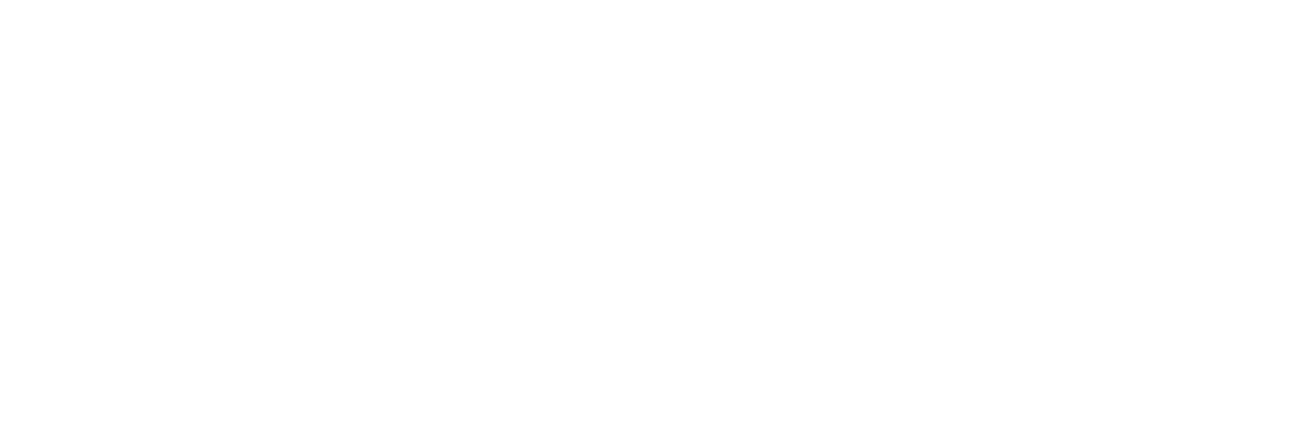 Google ícone Branco